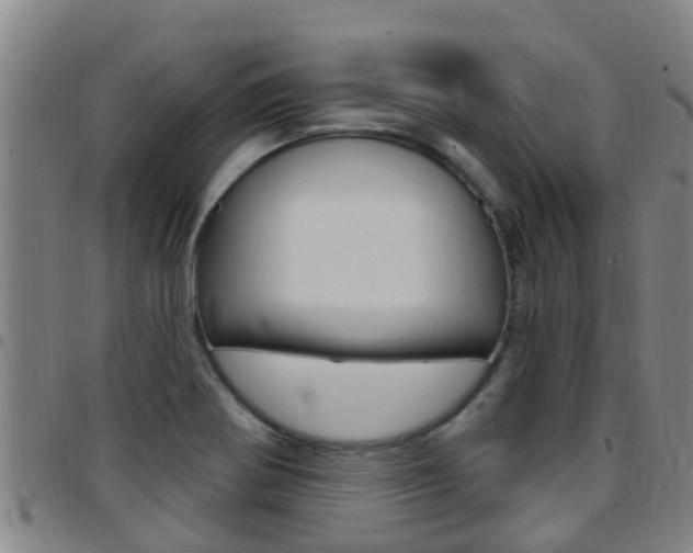 X0000097871370200803140909