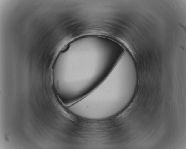 X0000097871371200803140909
