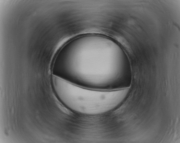 X0000097871372200803140909