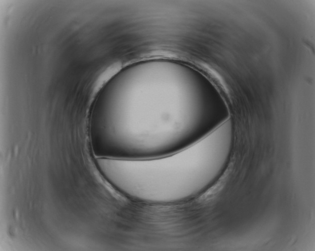 X0000097871373200803140909