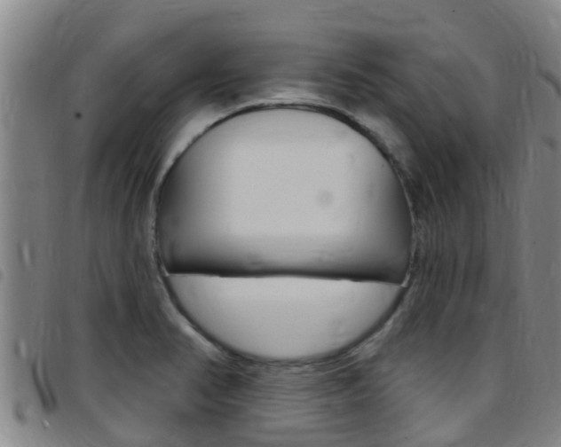 X0000097871374200803140909