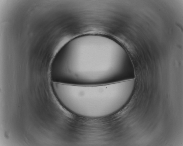 X0000097871375200803140909