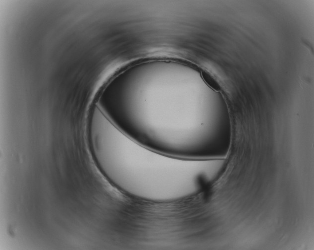 X0000097871376200803140909