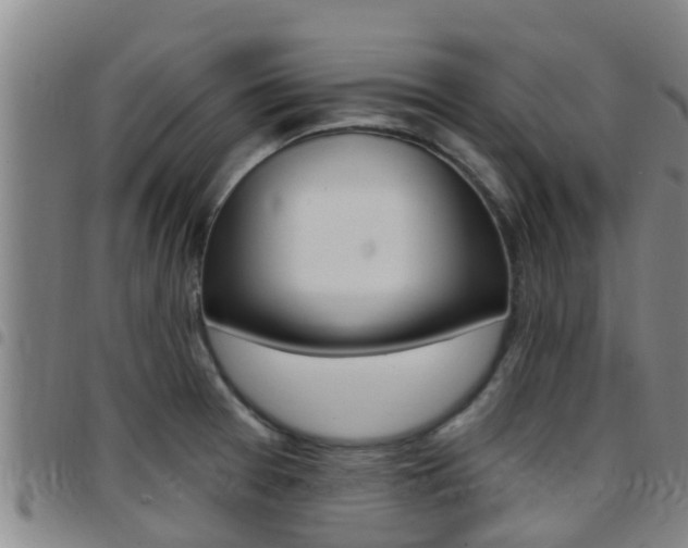 X0000097871377200803140909