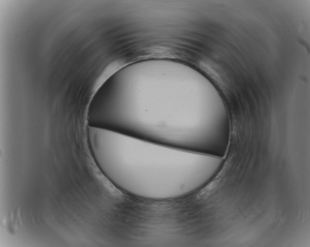 X0000097871378200803140909
