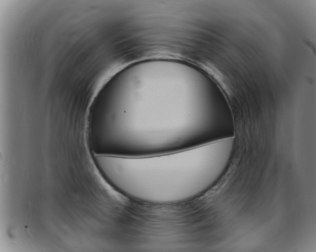 X0000097871379200803140909