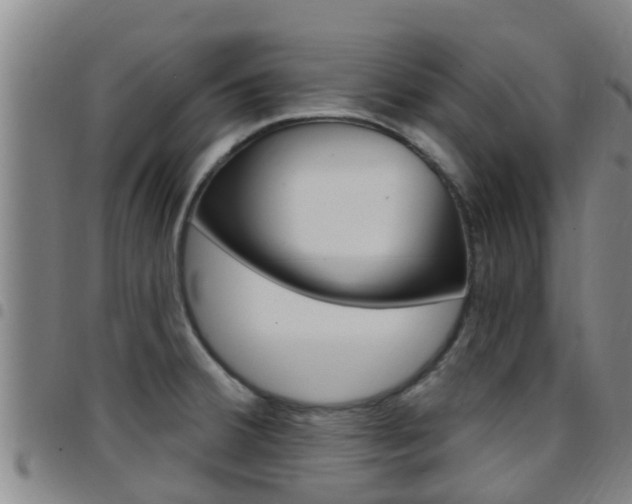 X0000097871380200803140908