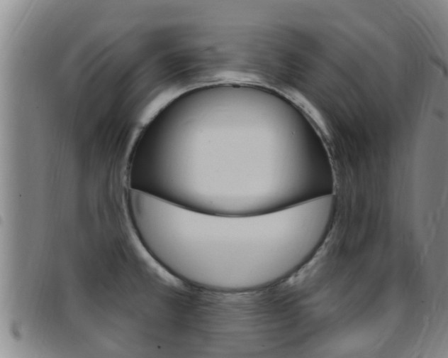 X0000097871381200803140908