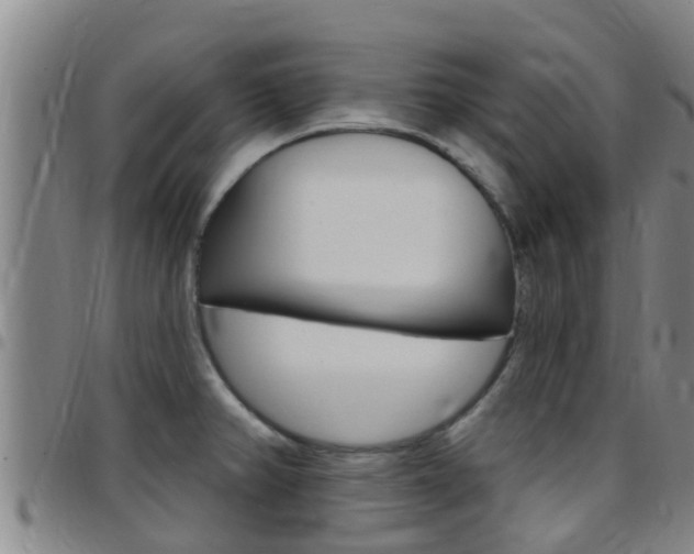 X0000097871382200803140908