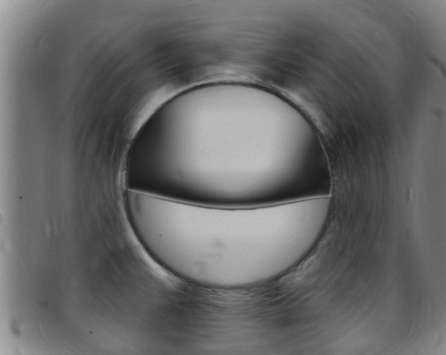 X0000097871383200803140908