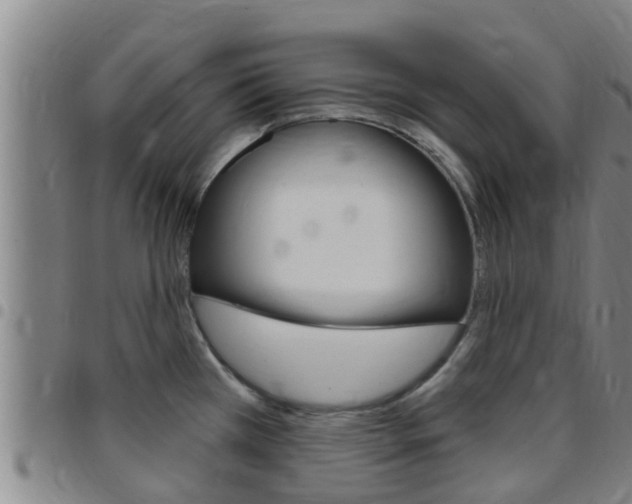 X0000097871385200803140908