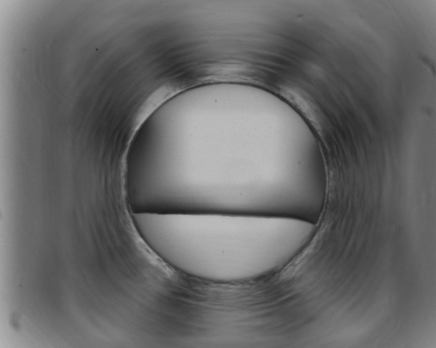 X0000097871386200803140908