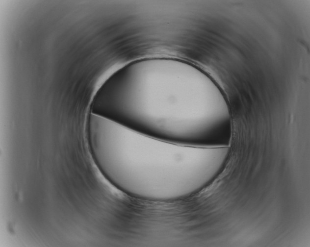X0000097871387200803140908