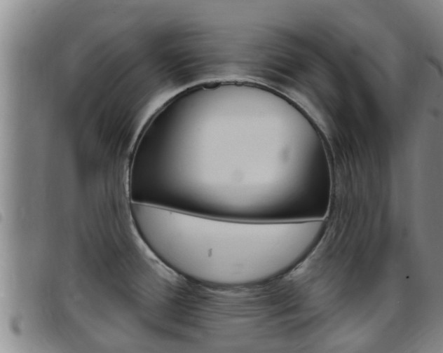 X0000097871388200803140908