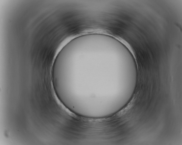 X0000097871389200803140908