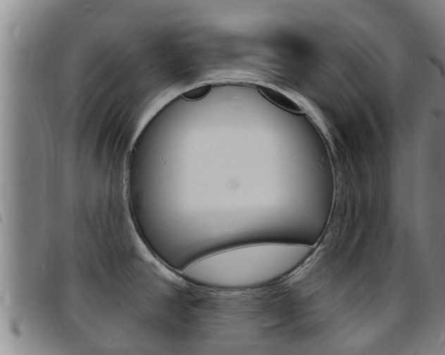 X0000097871390200803140908