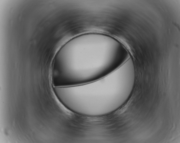 X0000097871391200803140908