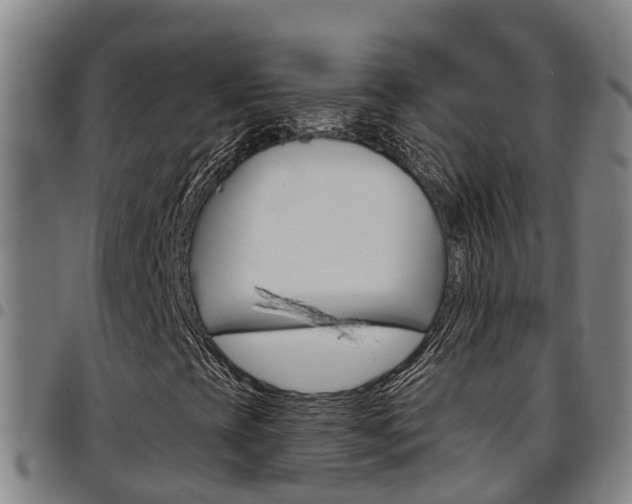 X0000097871393200803140908