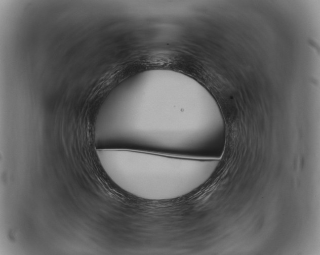 X0000097871394200803140908