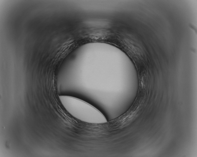 X0000097871396200803140908