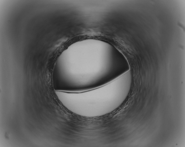 X0000097871398200803140908