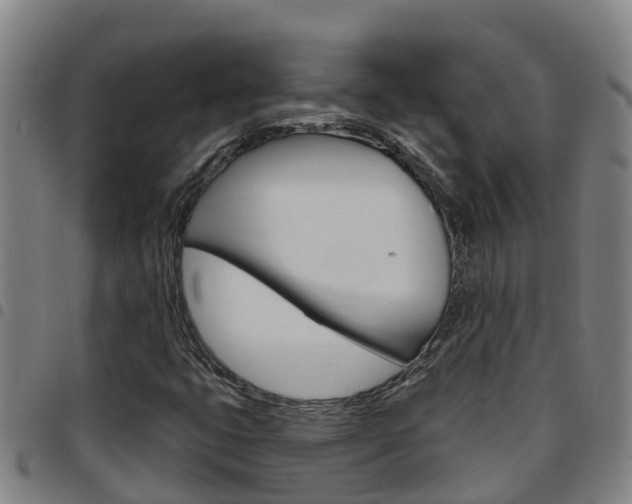 X0000097871399200803140908
