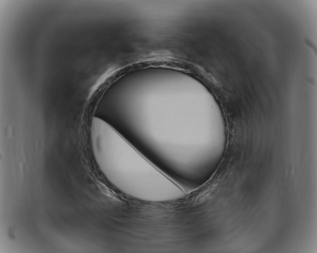 X0000097871400200803140908