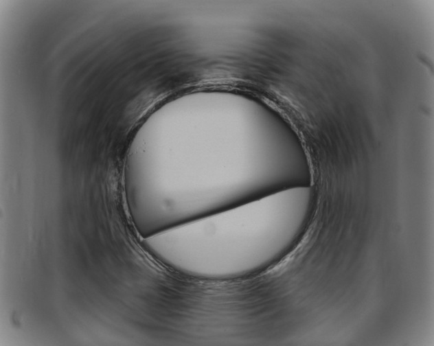 X0000097871401200803140908