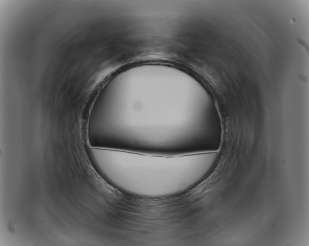 X0000097871404200803140908