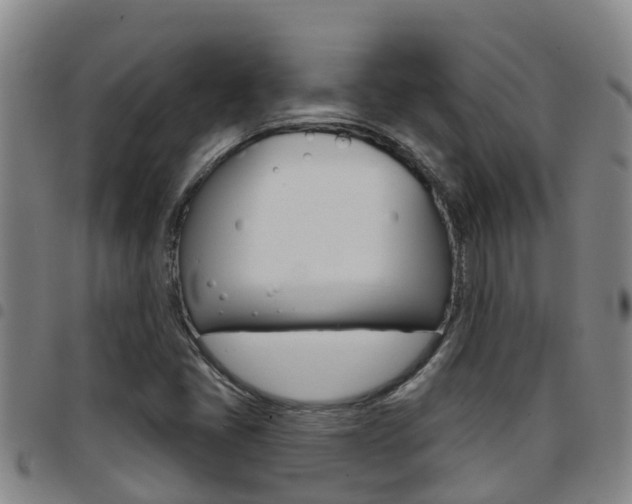 X0000097871405200803140908