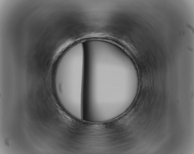 X0000097871406200803140908