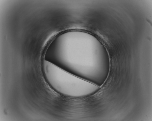 X0000097871408200803140908