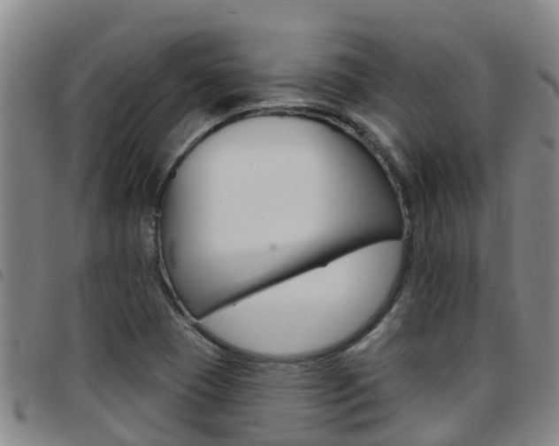 X0000097871409200803140908
