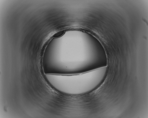X0000097871410200803140908
