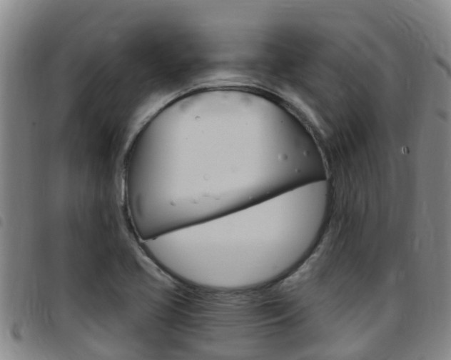 X0000097871413200803140908