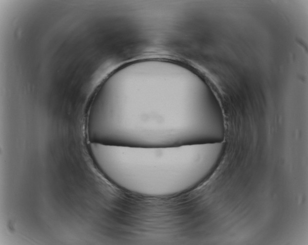 X0000097871415200803140908