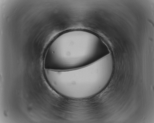 X0000097871416200803140908