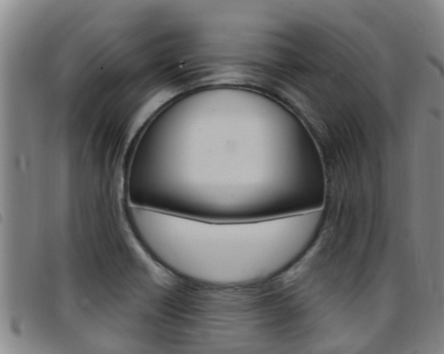 X0000097871418200803140908