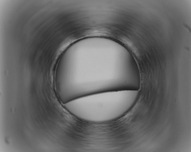 X0000097871419200803140908