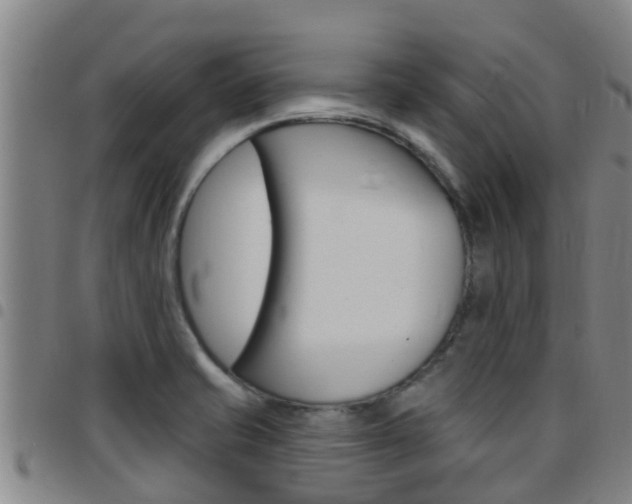X0000097871421200803140908