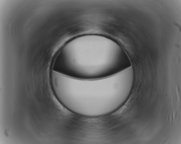 X0000097871422200803140908