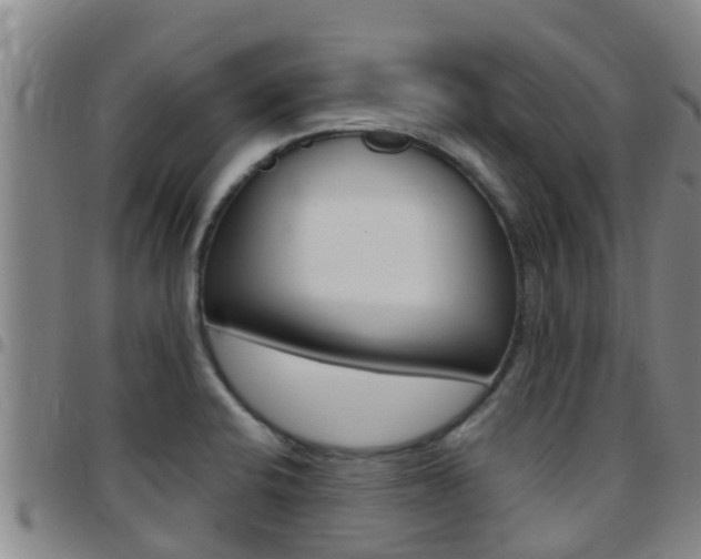 X0000097871424200803140908