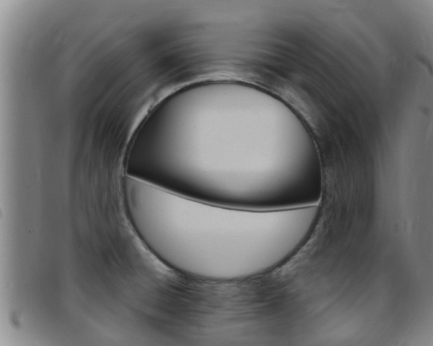 X0000097871428200803140908
