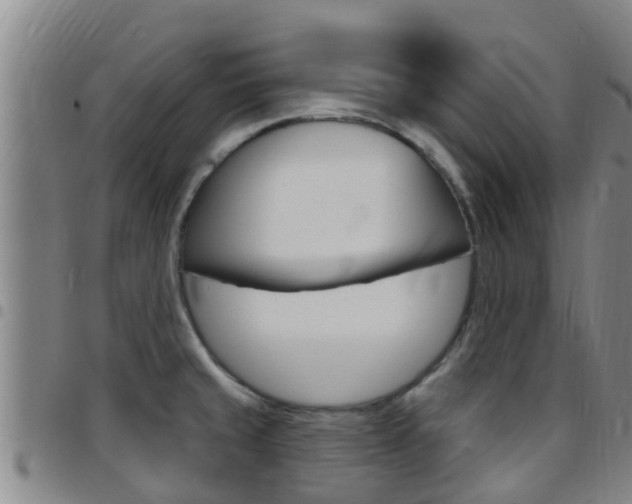 X0000097871429200803140908