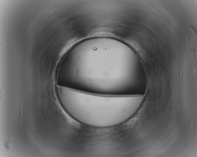 X0000097871430200803140908