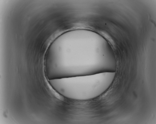 X0000097871431200803140908