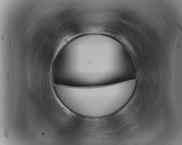 X0000097871432200803140908