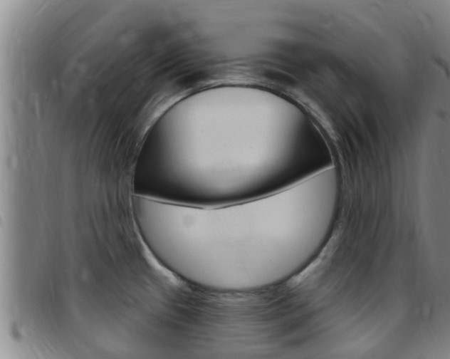 X0000097871433200803140908