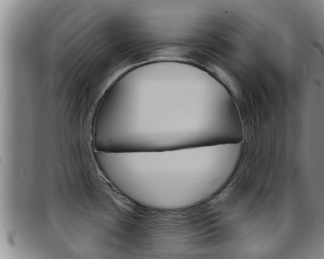 X0000097871435200803140908