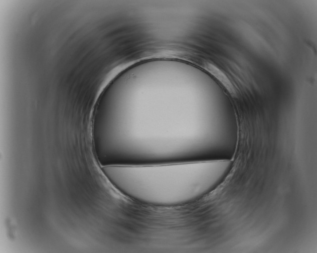X0000097871436200803140908